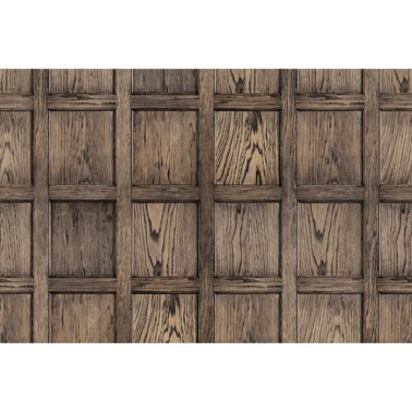 Carta da Parati R12881 Panel - REBEL WALLS