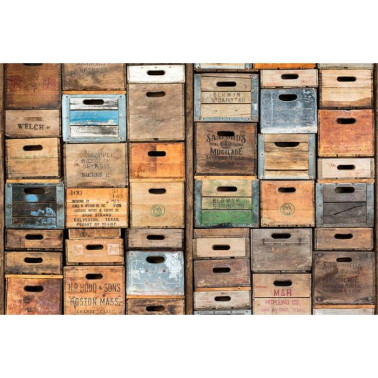 Carta da Parati R12901 Industriel Urban Farm L.A. - REBEL WALLS