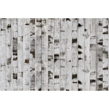 Wallpaper R15221 Metal Birch - REBEL WALLS