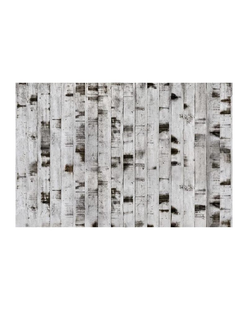 Papel de parede R15221 Metal Birch - REBEL WALLS Papel de parede R15221 Metal Birch - REBEL WALLS