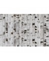 Wallpaper R15221 Metal Birch - REBEL WALLS