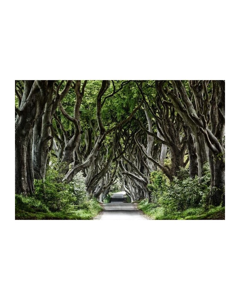 Wallpaper R15251 Magical Alley - REBEL WALLS Wallpaper R15251 Magical Alley - REBEL WALLS
