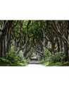 Papel de parede R15251 Magical Alley - REBEL WALLS