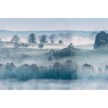 Tapete R15291 Morning Haze - REBEL WALLS