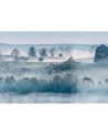 Carta da Parati R15291 Morning Haze - REBEL WALLS