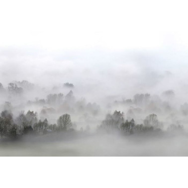 Carta da Parati R15301 Morning Fog - REBEL WALLS