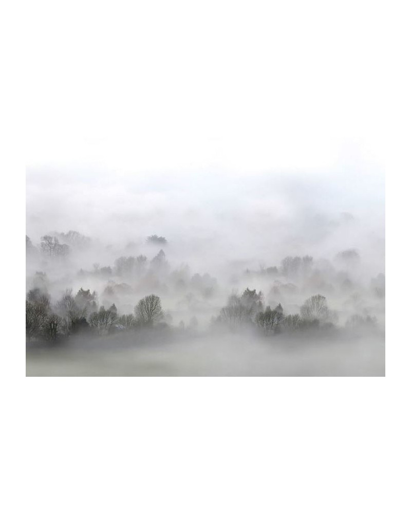 Papel Pintado R15301 Morning Fog - REBEL WALLS Papel Pintado R15301 Morning Fog - REBEL WALLS