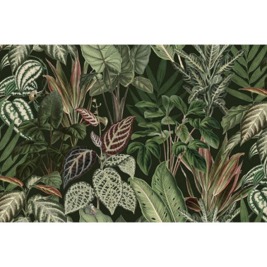 Carta da Parati R14592 Mischievous Monkeys, Lush - REBEL WALLS