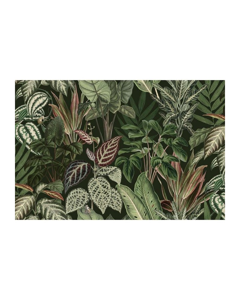 Papel Pintado R14592 Mischievous Monkeys, Lush - REBEL WALLS Papel Pintado R14592 Mischievous Monkeys, Lush - REBEL WALLS