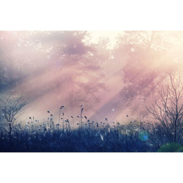 Papel de parede R15361 Pink Dawn - REBEL WALLS