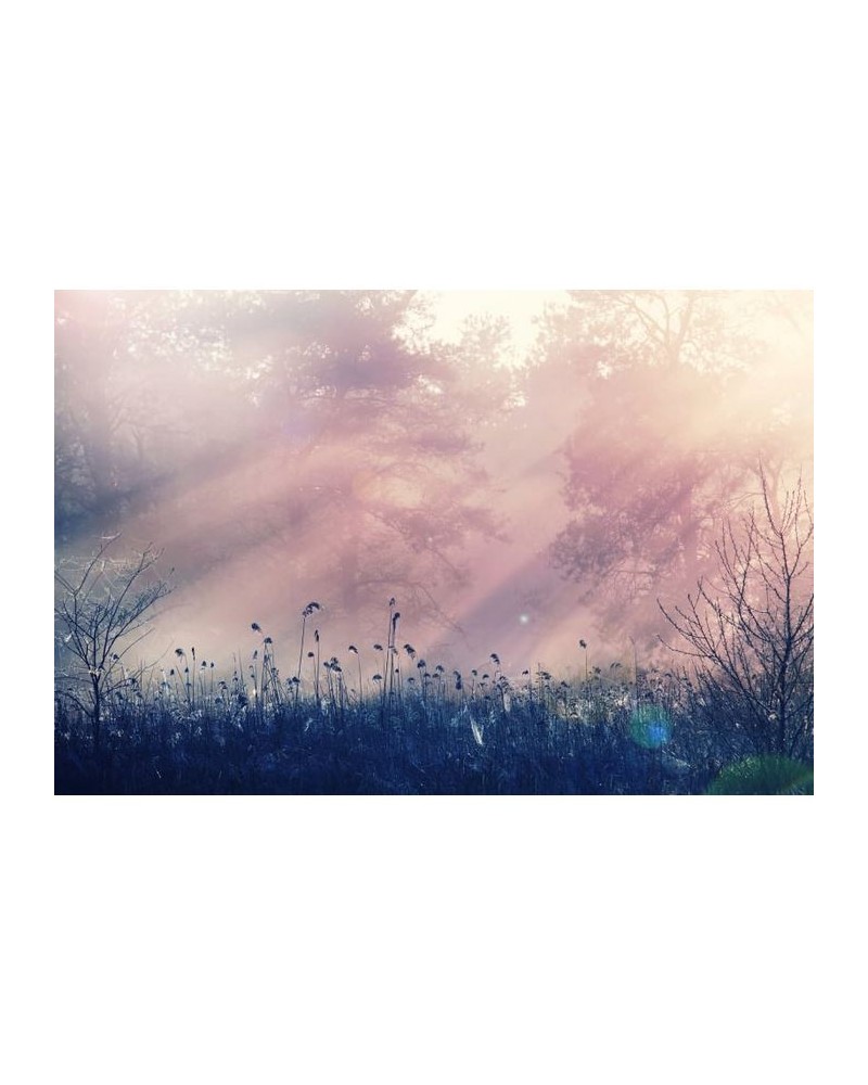 Tapete R15361 Pink Dawn - REBEL WALLS
