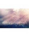 Tapete R15361 Pink Dawn - REBEL WALLS
