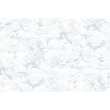 Wallpaper R15432 Chubby Cherubs, Blue - REBEL WALLS