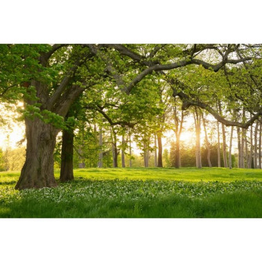 Wallpaper R15521 Verdant - REBEL WALLS
