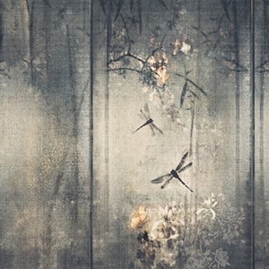Papel de parede LIBELLULA WDLI1602 - WALL AND DECO