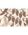 Papier peint PENCIL BIRDS WDPB1602 - WALL AND DECO