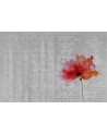 Tapete VOYAGE WDVO1602-B - WALL AND DECO