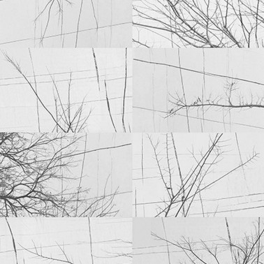 Papel de parede BOIS D'HIVER WDBH1701 - WALL AND DECO