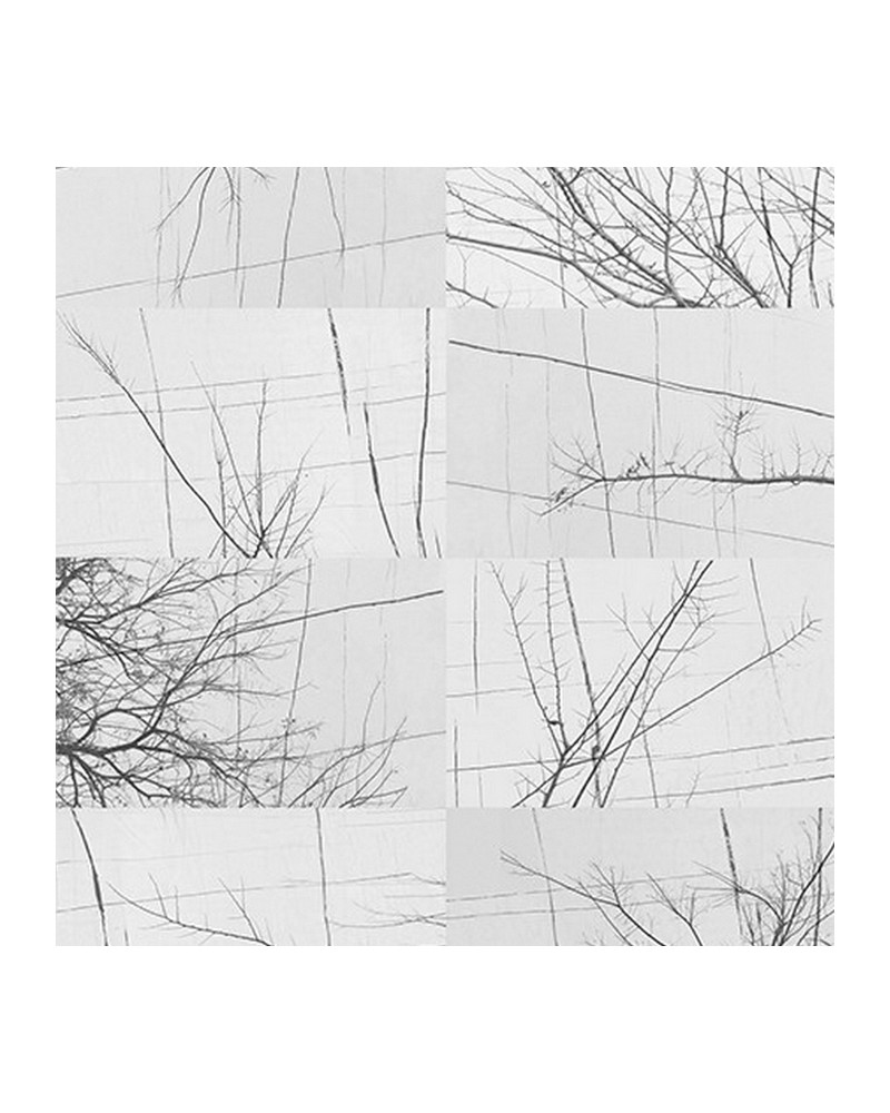 Papel Pintado BOIS D'HIVER WDBH1701 - WALL AND DECO Papel Pintado BOIS D'HIVER WDBH1701 - WALL AND DECO