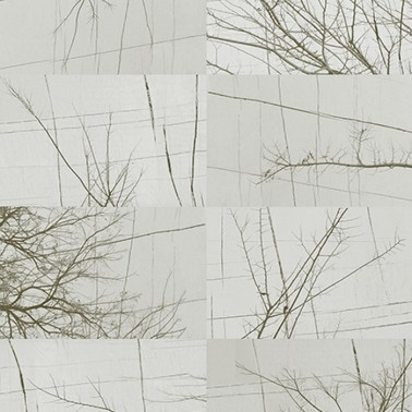 Carta da Parati BOIS D'HIVER WDBH1702 - WALL AND DECO