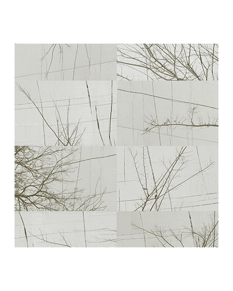 Tapete BOIS D'HIVER WDBH1702 - WALL AND DECO Tapete BOIS D'HIVER WDBH1702 - WALL AND DECO