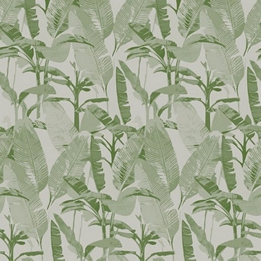 Papel Pintado LOST PARADISE WDLP1702 - WALL AND DECO