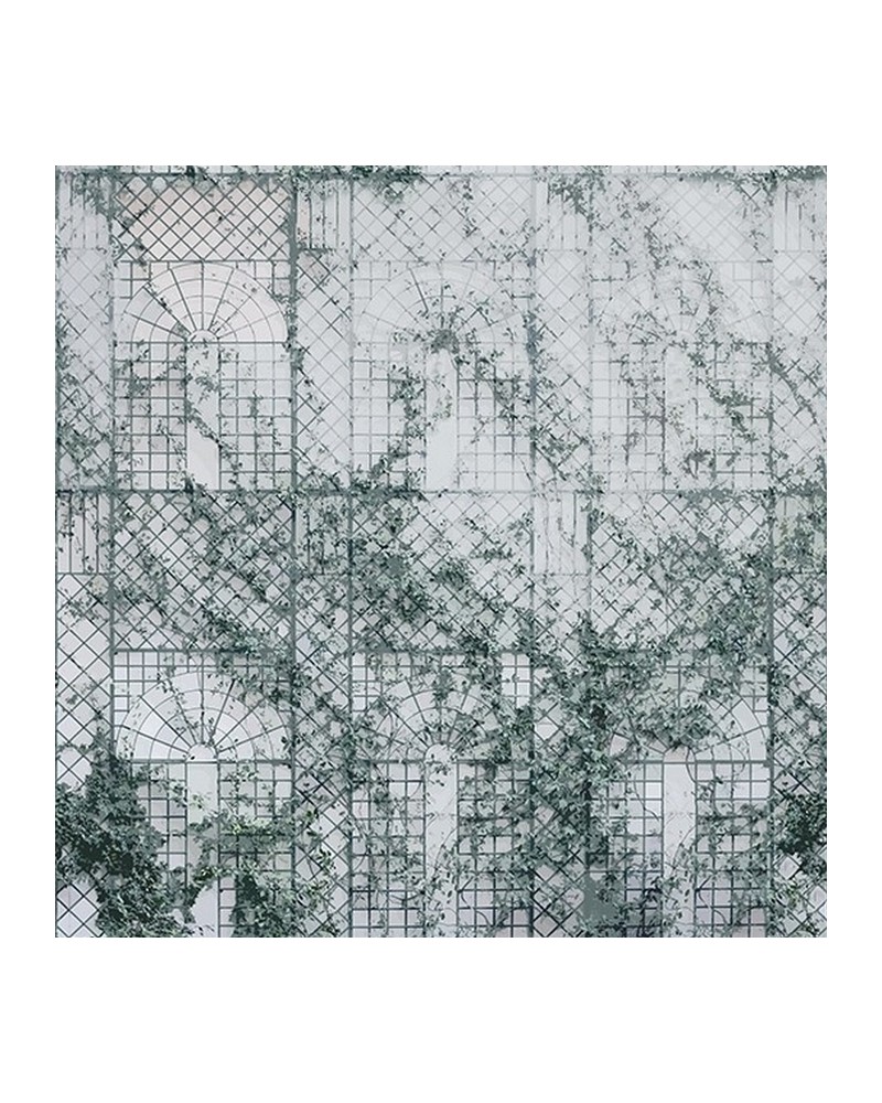 Papel de parede TREILLAGE WDTR1701 - WALL AND DECO Papel de parede TREILLAGE WDTR1701 - WALL AND DECO