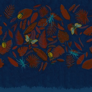 Wallpaper ZOONIMO WDZO1703 - WALL AND DECO