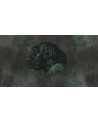 Tapete ANCETRE WDAN1701 - WALL AND DECO