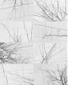 Papel Pintado BOIS D'HIVER WDBH1701 - WALL AND DECO