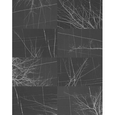 BOIS D'HIVER WDBH1703