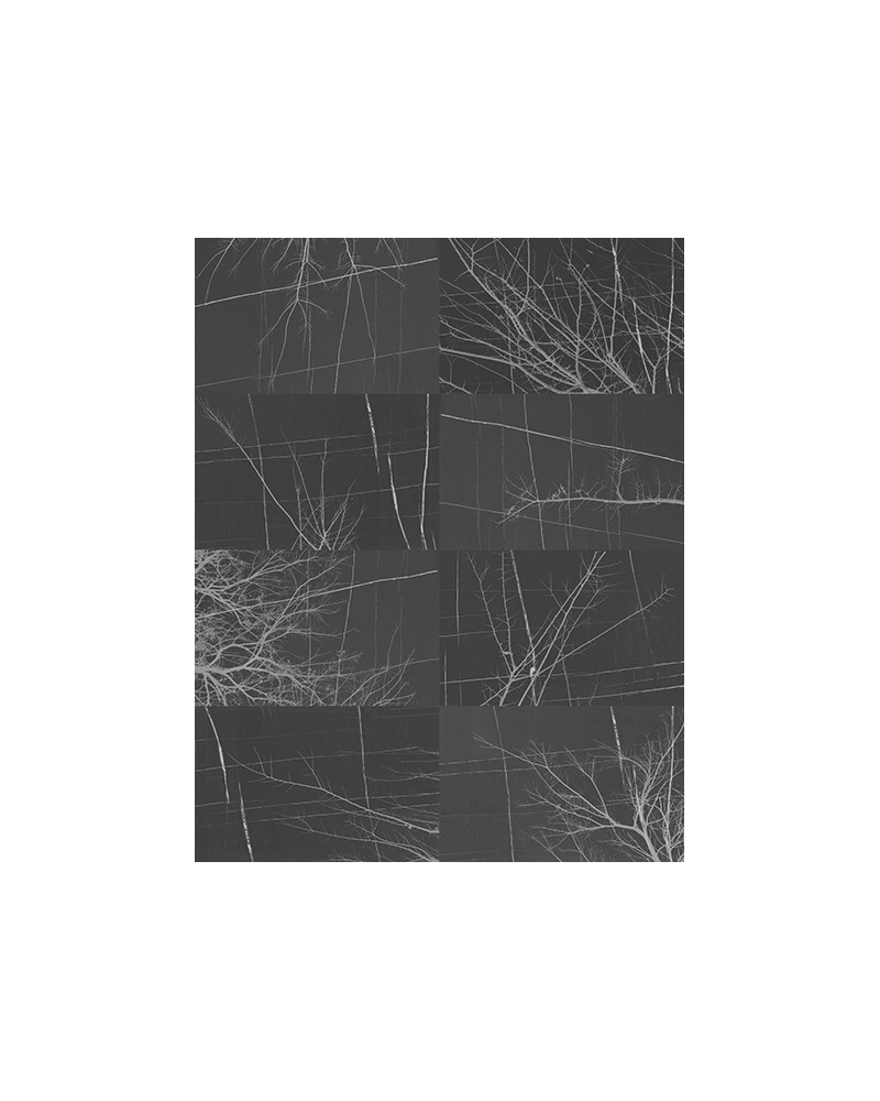 Papel de parede BOIS D'HIVER WDBH1703 - WALL AND DECO