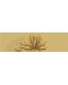 Papier peint BREEZE WDBR1702 - WALL AND DECO