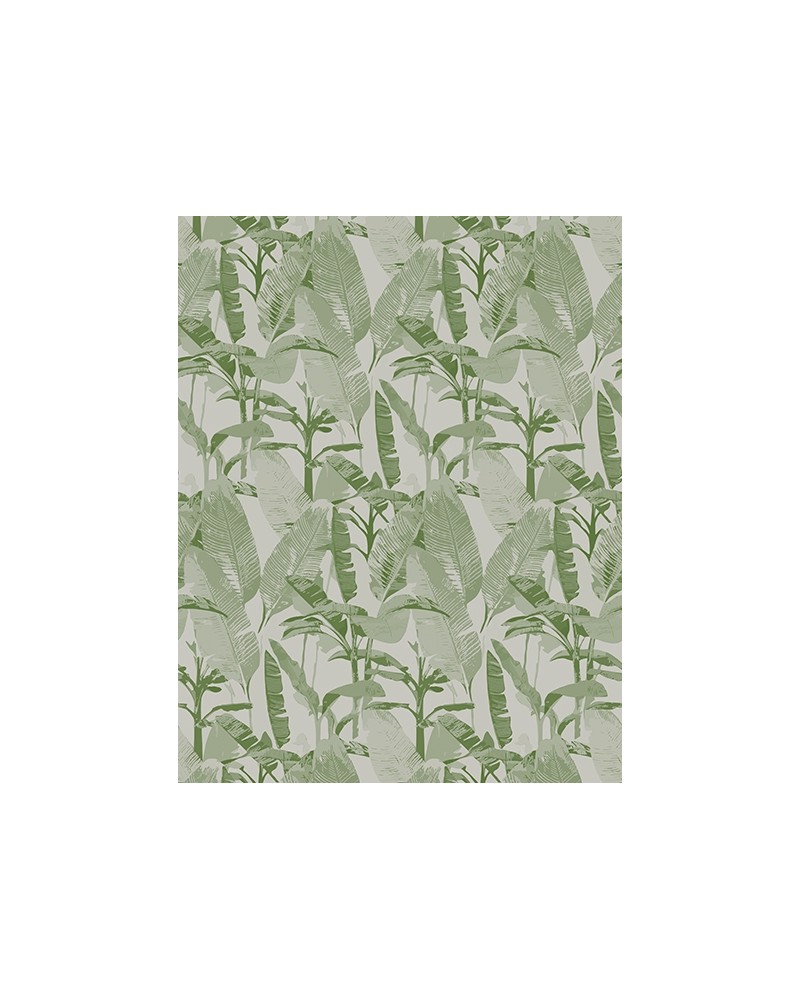 Papel de parede LOST PARADISE WDLP1702 - WALL AND DECO
