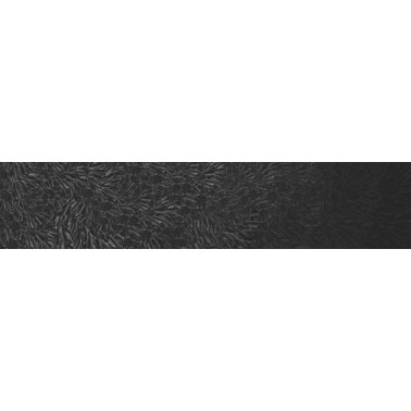 DARK SIDE WDDS1701