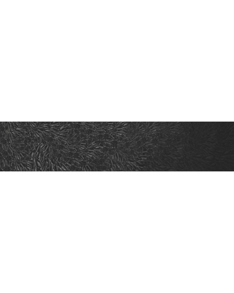Wallpaper THE DARK SIDE WDDS1701 - WALL AND DECO