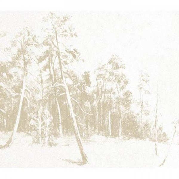 Tapete JO 1042-1 Ink-Woods - Tres Tintas Tapete JO 1042-1 Ink-Woods - Tres Tintas