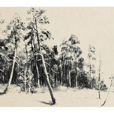 Carta da Parati JO 1042-2 Ink-Woods - Tres Tintas