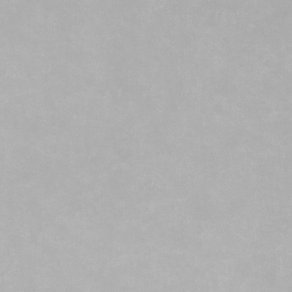 Tapete BRETON 7000043 LIGHT GREY - COORDONNE