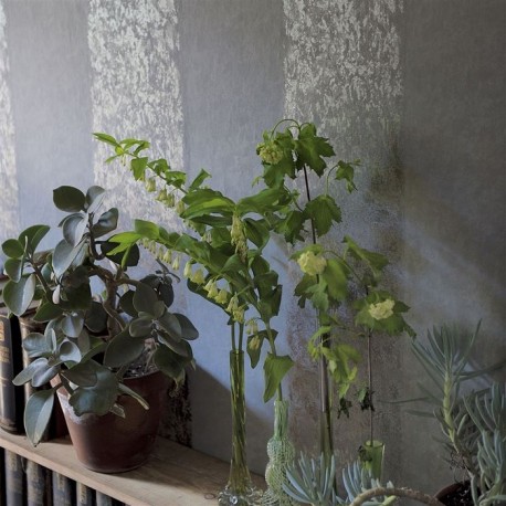 Wallpaper P576-01 KALPANA - ALABASTER - Designers Guild
