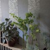 Tapete P576-07 KALPANA - LILAC - Designers Guild