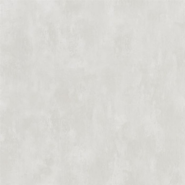 Carta da Parati PDG719/03 PARCHMENT - SILVER BIRCH - Designers Guild