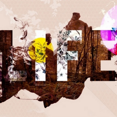 Papel de parede LIFE IS PEACHY 14032 1 - LONDON ART