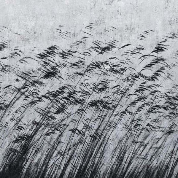 Tapete GONE WITH THE WIND 15134 3 - LONDON ART Tapete GONE WITH THE WIND 15134 3 - LONDON ART