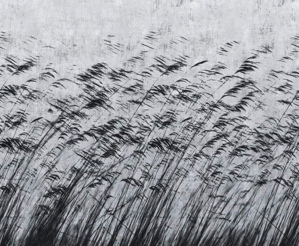 Tapete GONE WITH THE WIND 15134 3 - LONDON ART