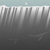 Papel de parede BELOW THE SEA FACE 17097-02 - LONDON ART