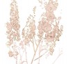 Papier peint IN FLOWER 17504-2 - LONDON ART