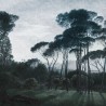 Papel de parede NIGHTCALL 17084-1 - LONDON ART