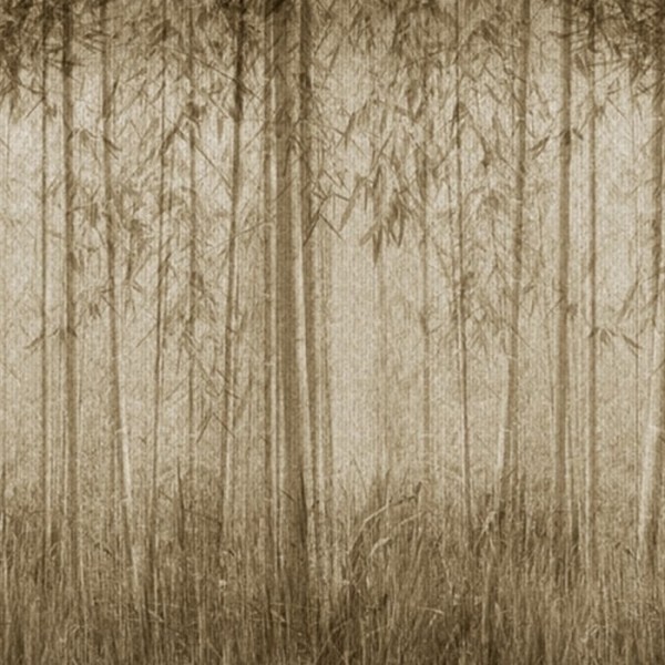 Wallpaper SAUVAGE 12SV01 - LONDON ART