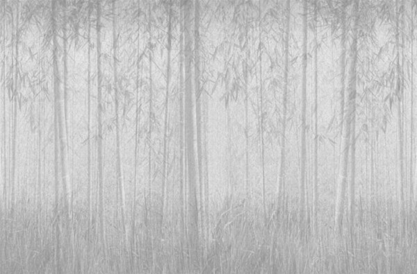 Papel de parede SAUVAGE 12SV03 - LONDON ART